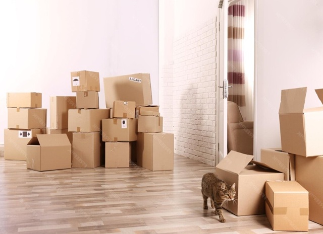 stěhování bytu